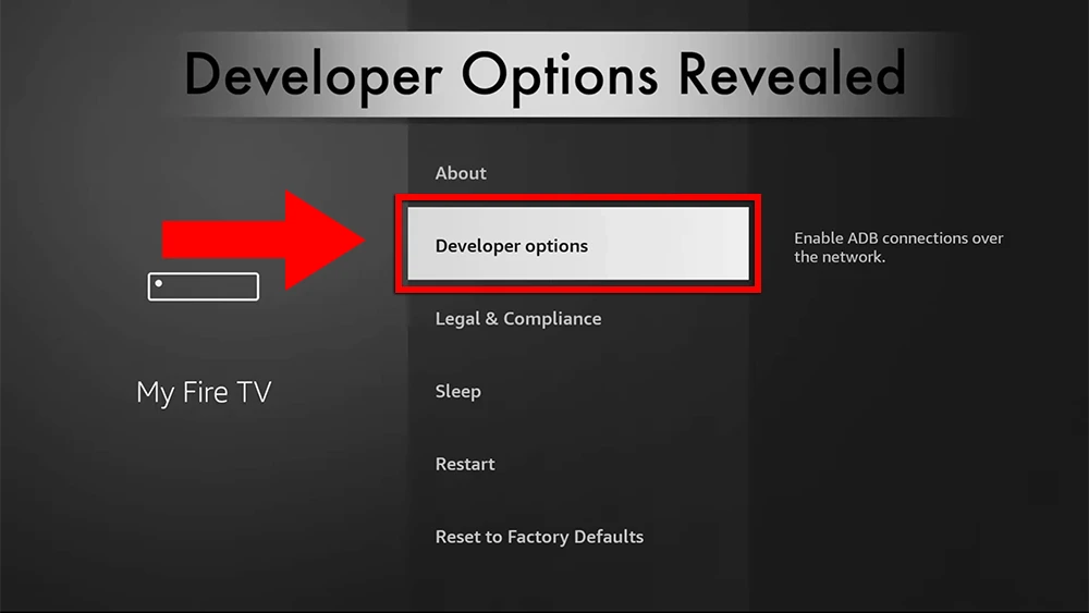 Choose Developer Options