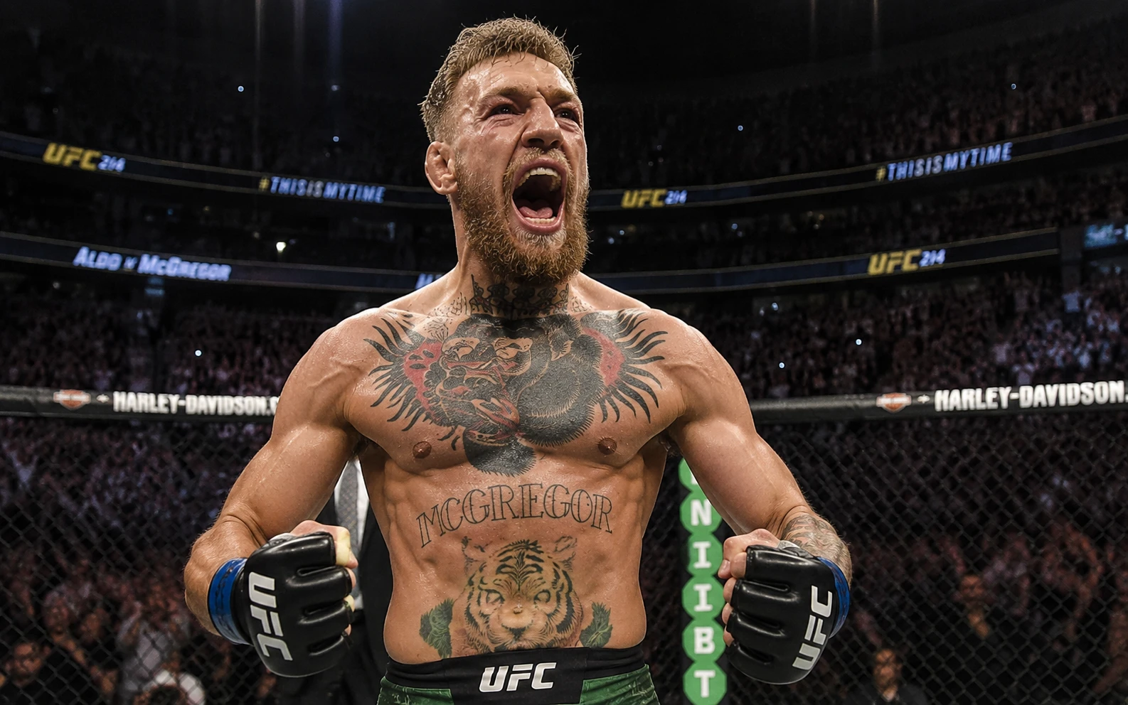 UFC PPV Events